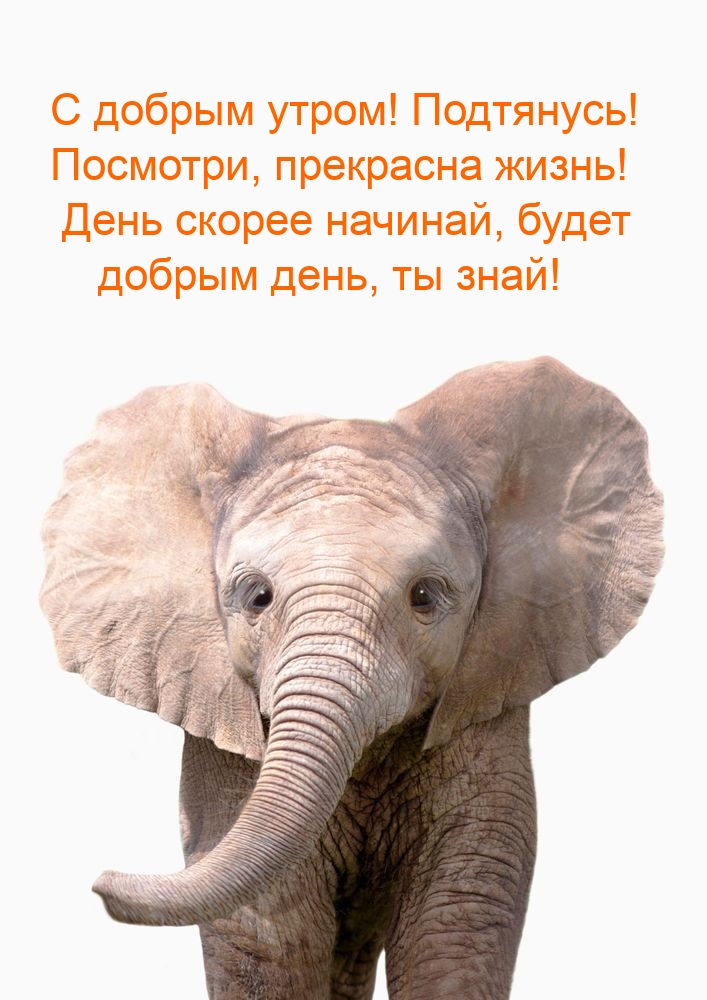 Хостинг картинок yapx.ru