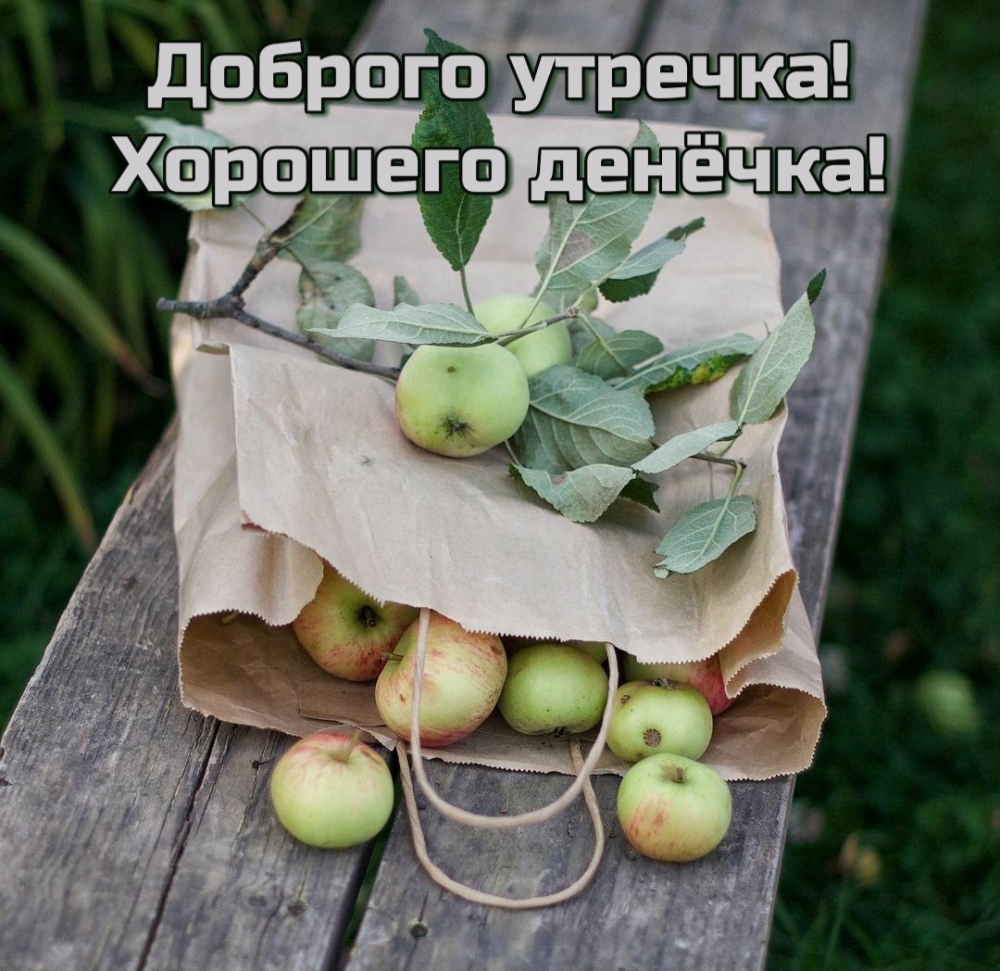 Хостинг картинок yapx.ru