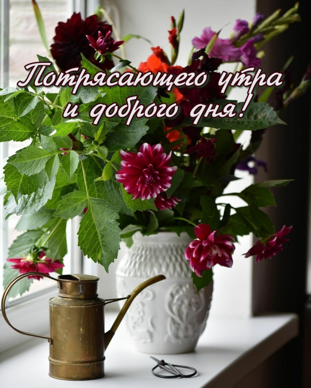 Хостинг картинок yapx.ru