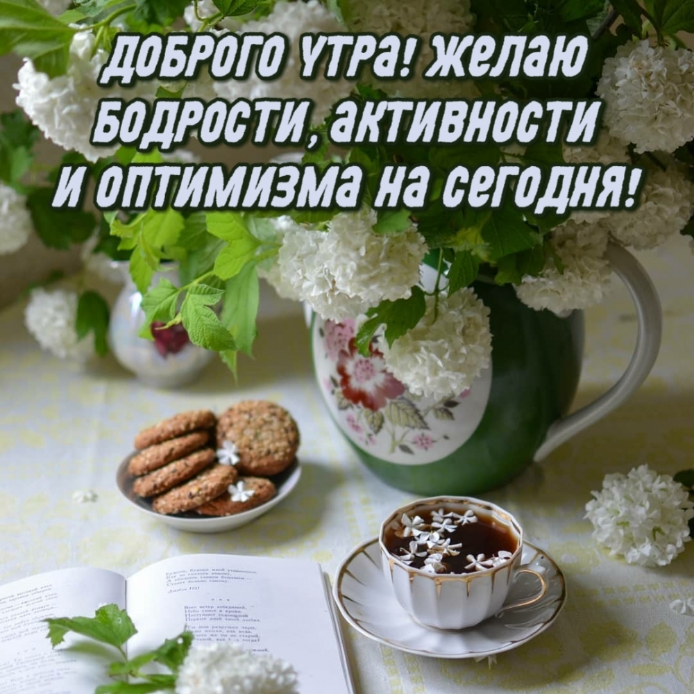 Хостинг картинок yapx.ru