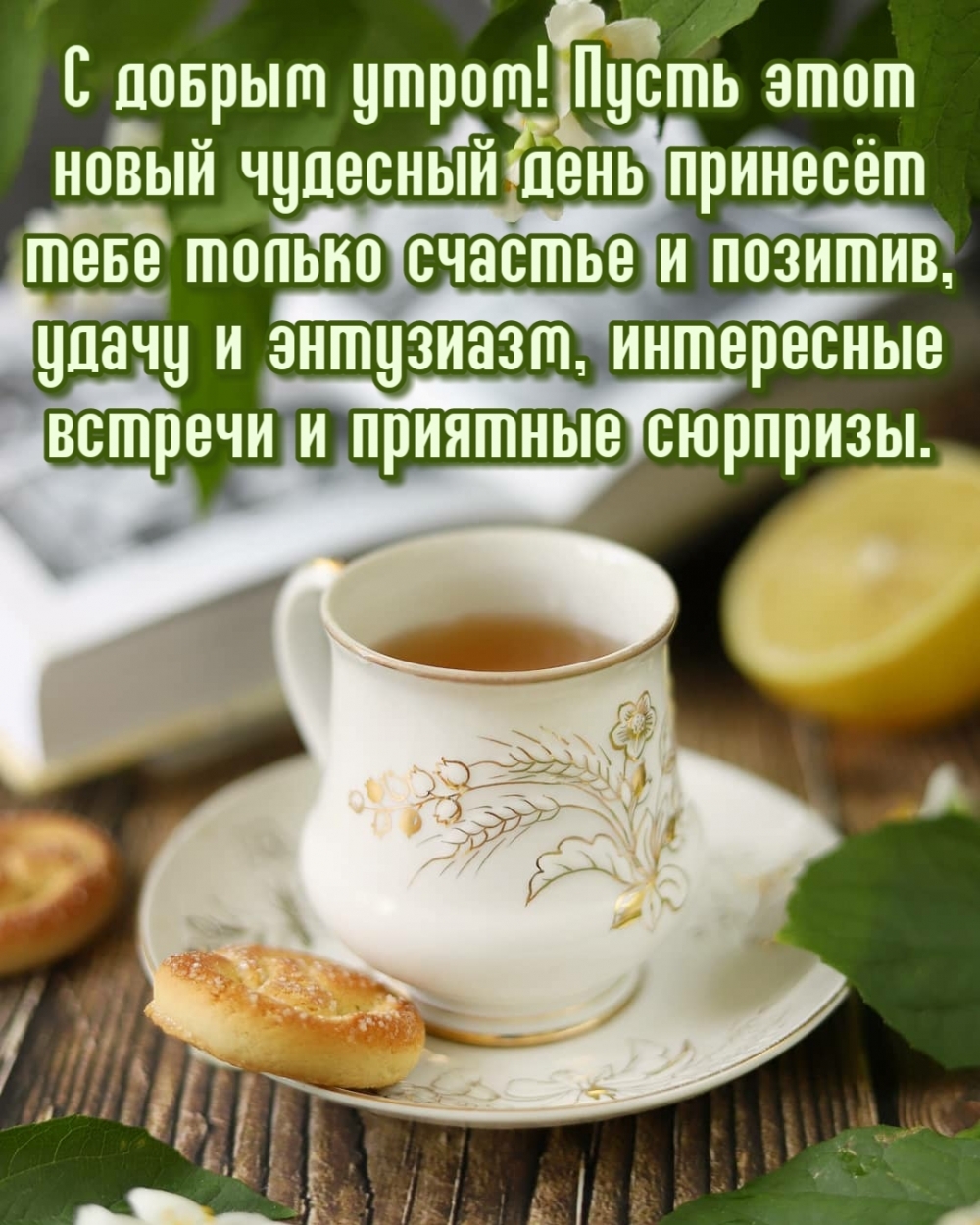 Хостинг картинок yapx.ru