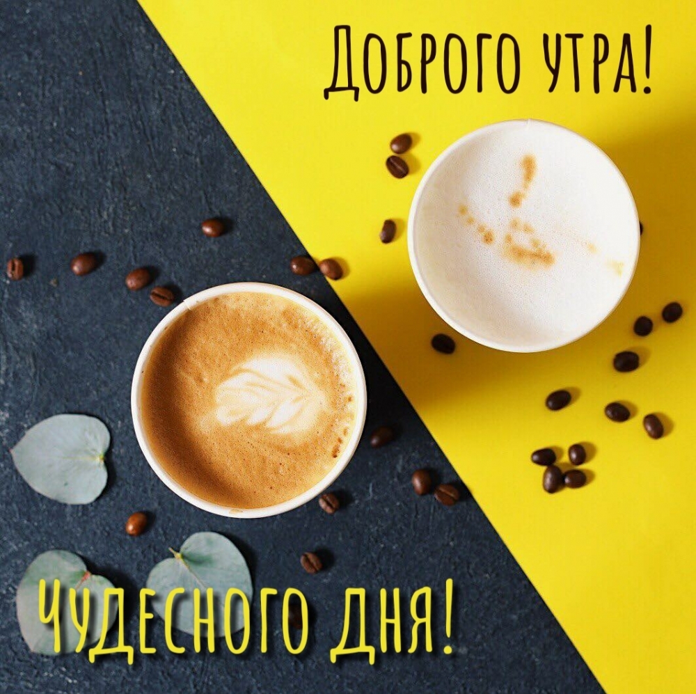 Хостинг картинок yapx.ru