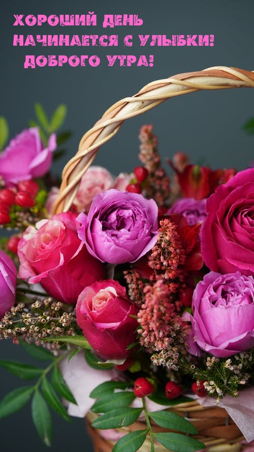 Хостинг картинок yapx.ru