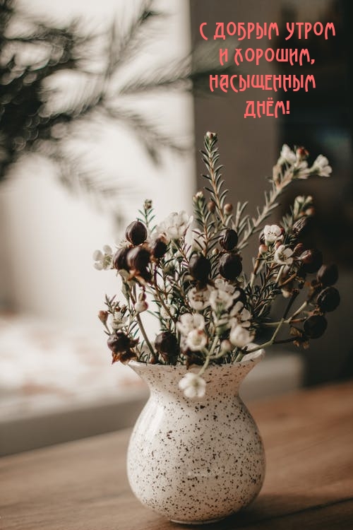 Хостинг картинок yapx.ru