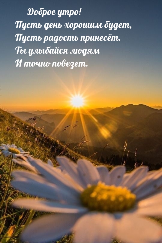 Хостинг картинок yapx.ru