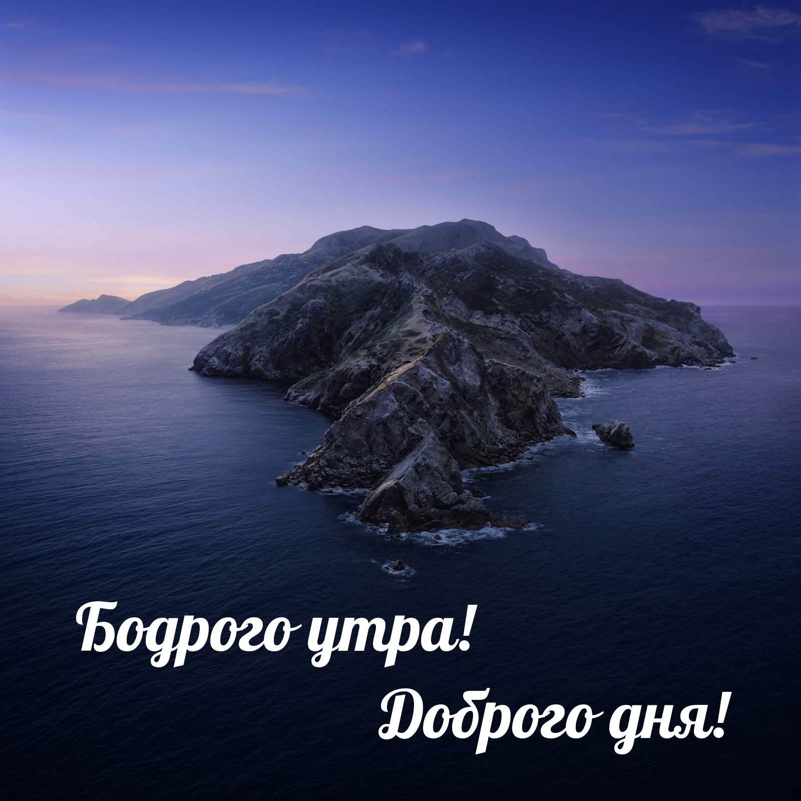 Хостинг картинок yapx.ru