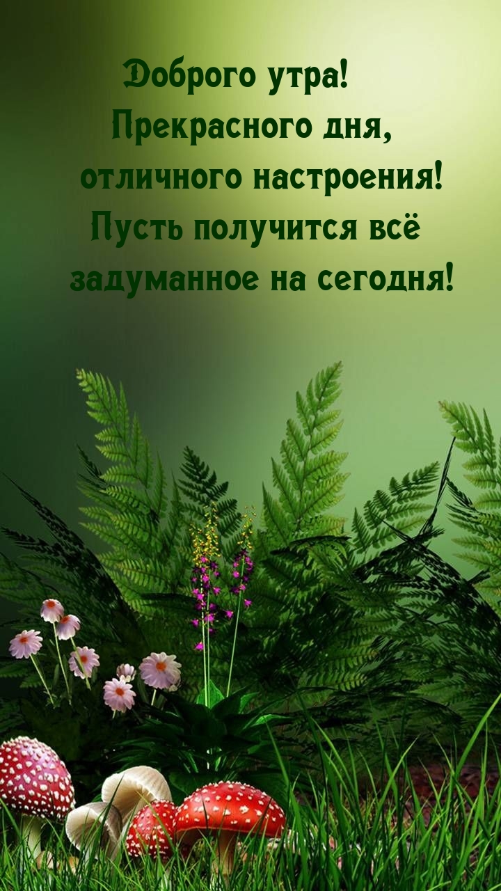 Хостинг картинок yapx.ru