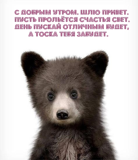 Хостинг картинок yapx.ru