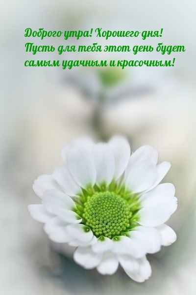 Хостинг картинок yapx.ru