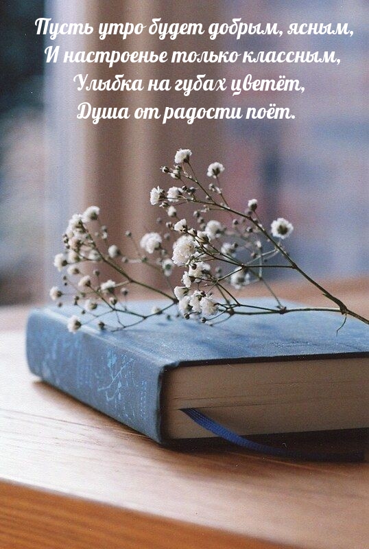 Хостинг картинок yapx.ru