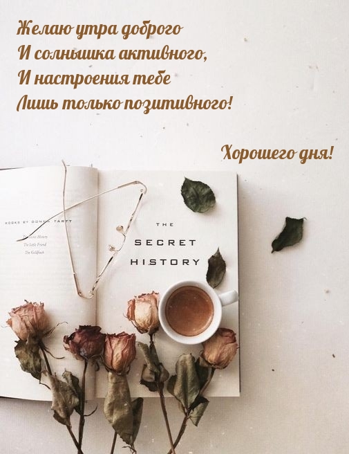 Хостинг картинок yapx.ru