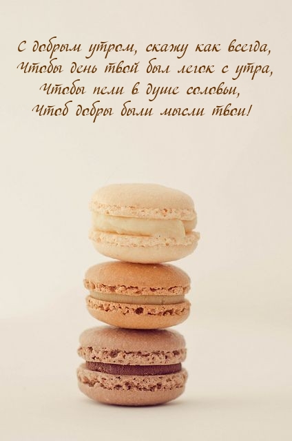 Хостинг картинок yapx.ru