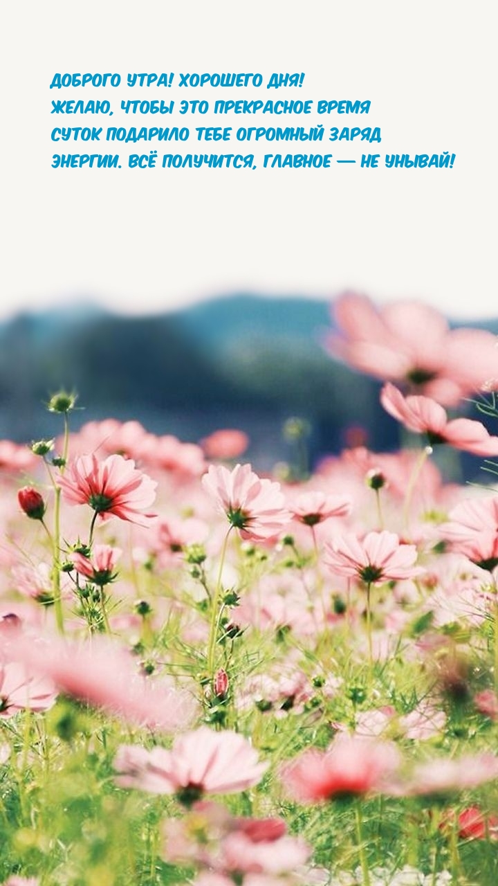 Хостинг картинок yapx.ru