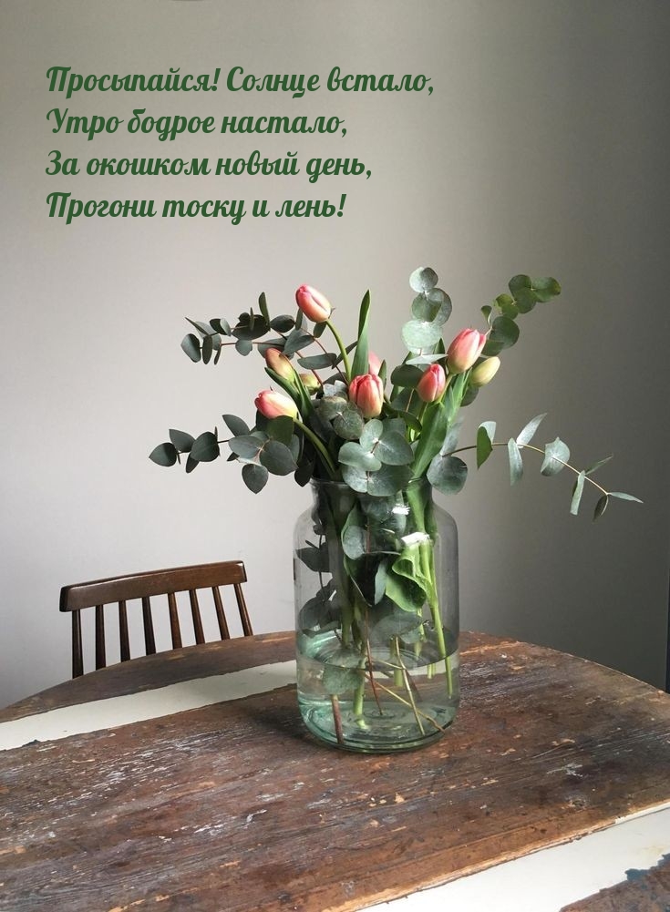 Хостинг картинок yapx.ru