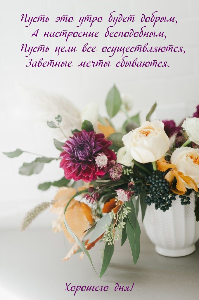 Хостинг картинок yapx.ru