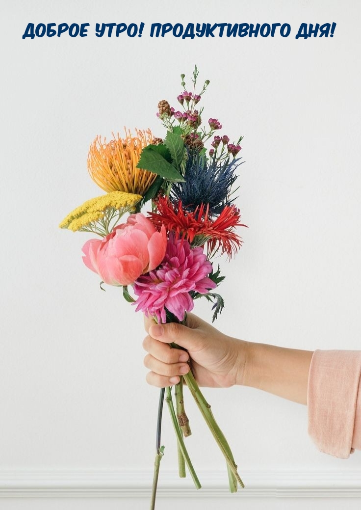 Хостинг картинок yapx.ru