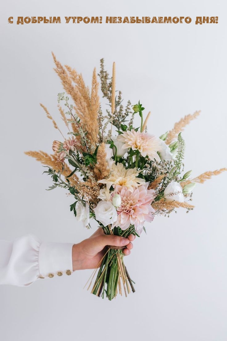 Хостинг картинок yapx.ru