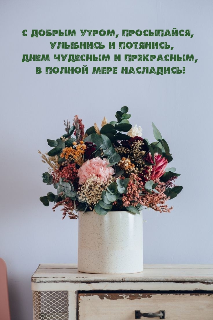 Хостинг картинок yapx.ru