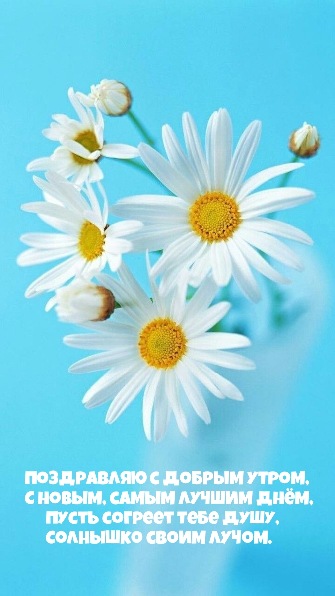 Хостинг картинок yapx.ru