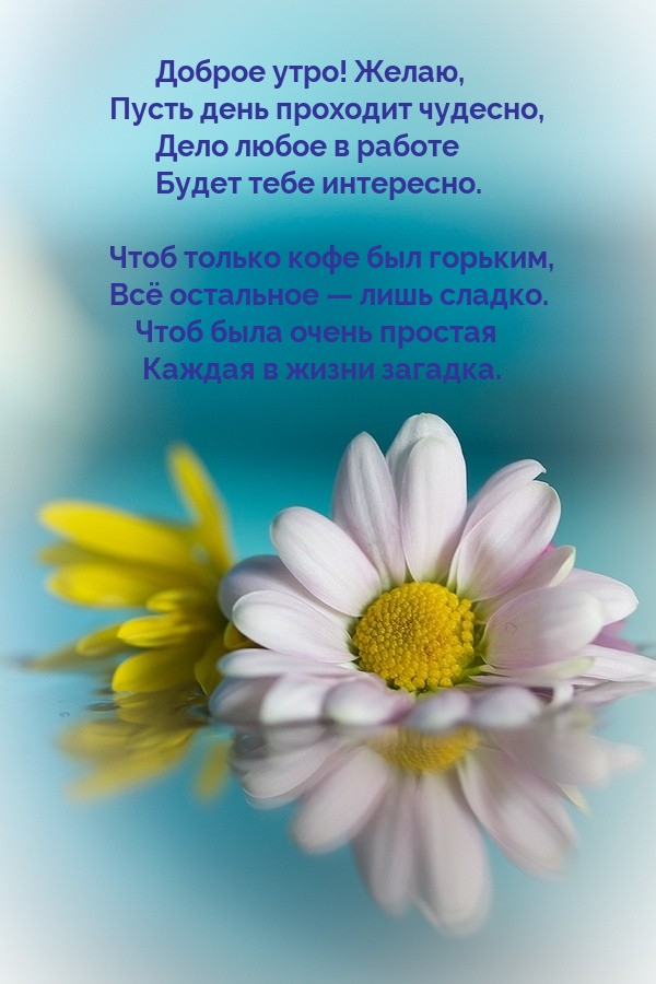 Хостинг картинок yapx.ru