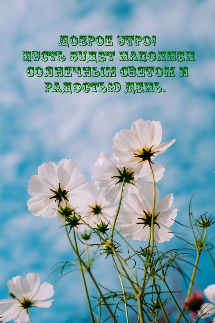 Хостинг картинок yapx.ru