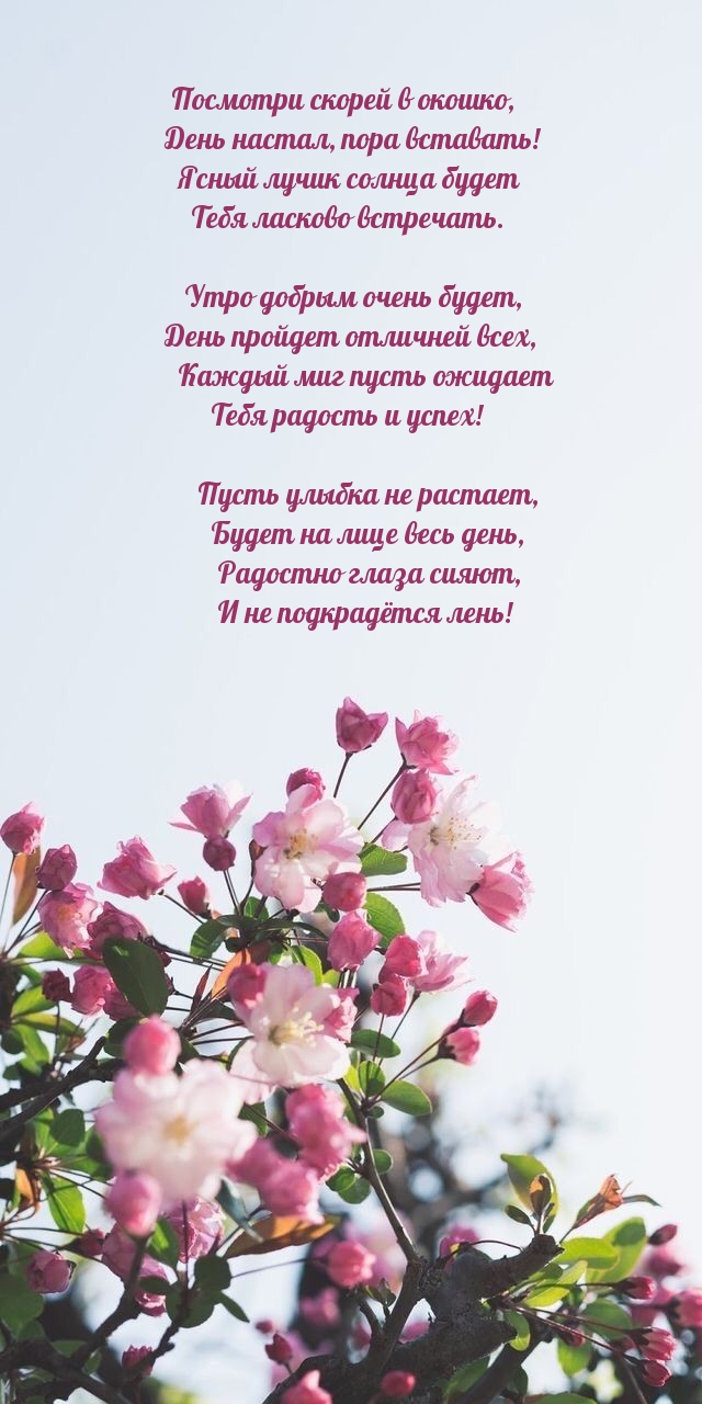 Хостинг картинок yapx.ru