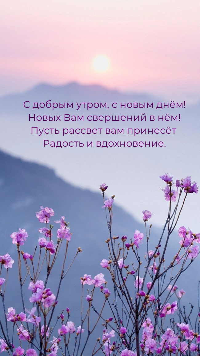 Хостинг картинок yapx.ru