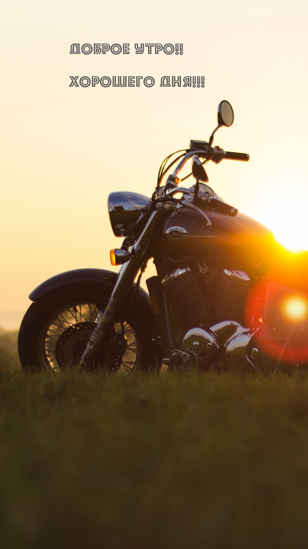 Хостинг картинок yapx.ru