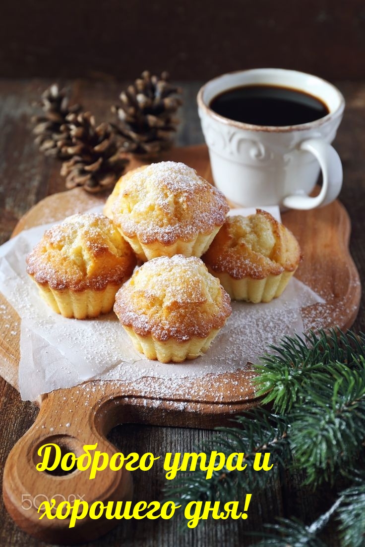 Хостинг картинок yapx.ru