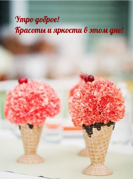 Хостинг картинок yapx.ru