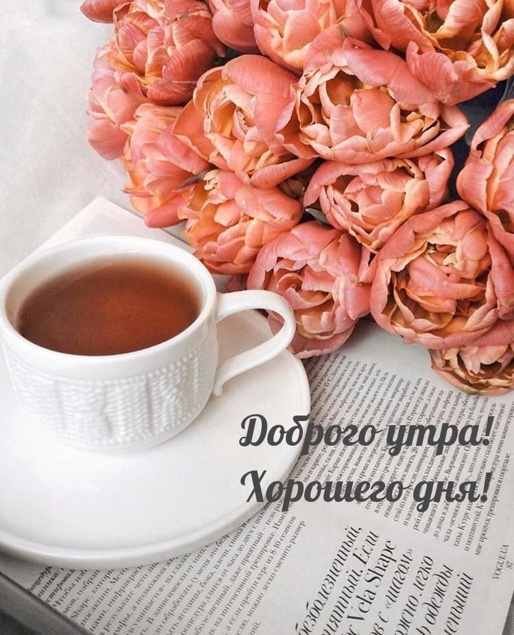 Хостинг картинок yapx.ru