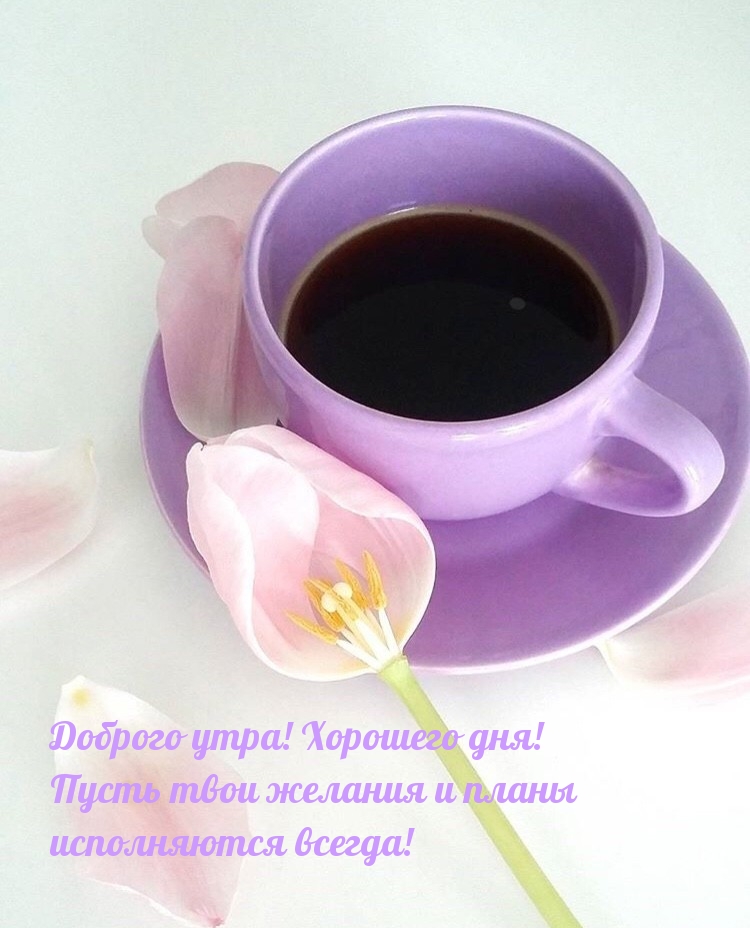 Хостинг картинок yapx.ru