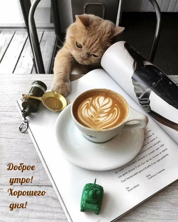 Хостинг картинок yapx.ru