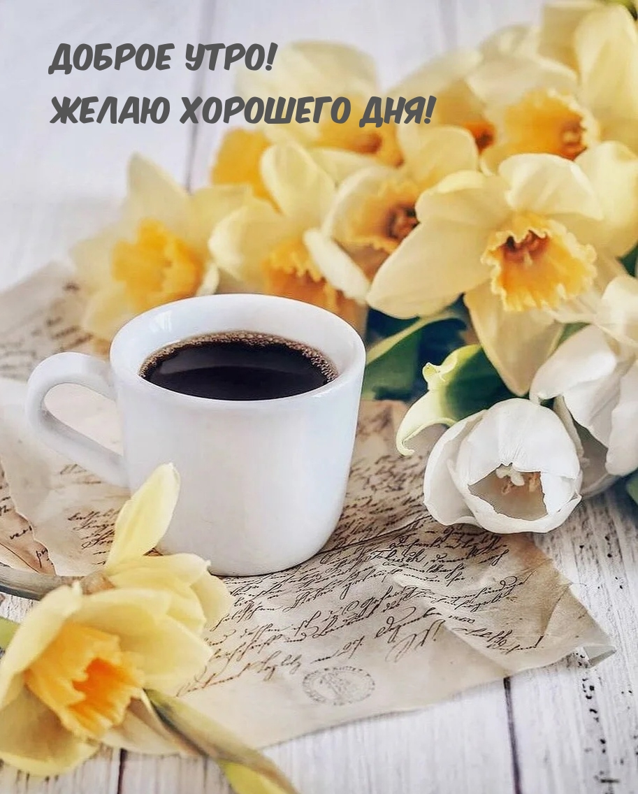 Хостинг картинок yapx.ru