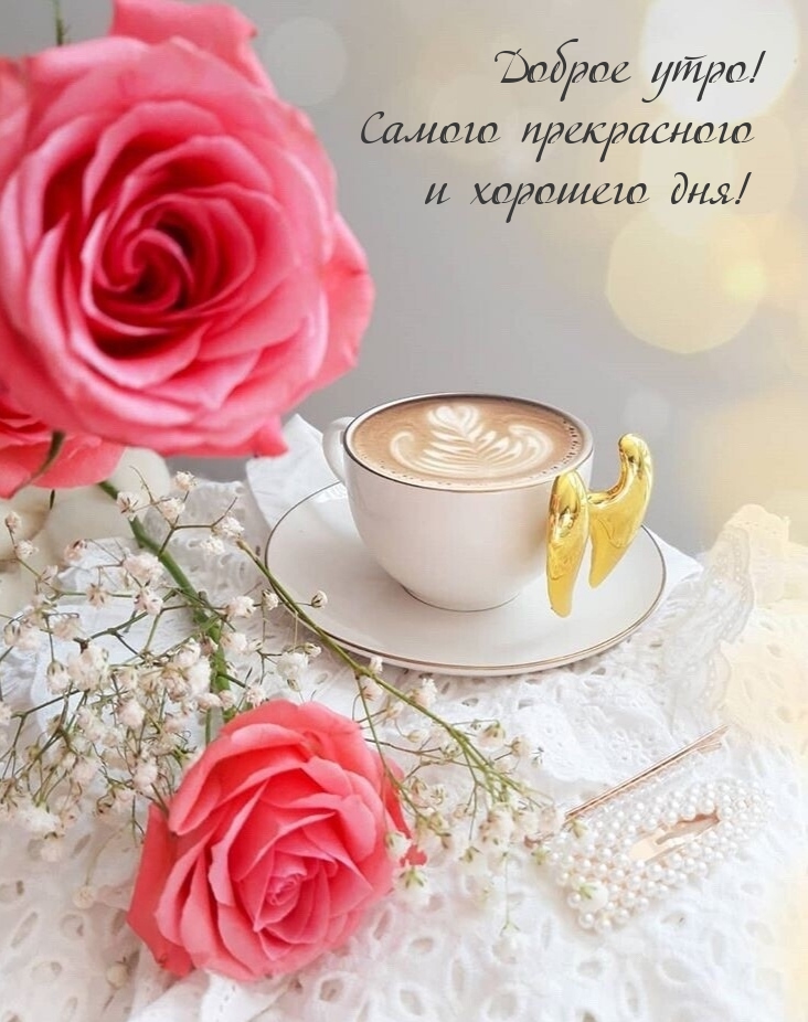 Хостинг картинок yapx.ru