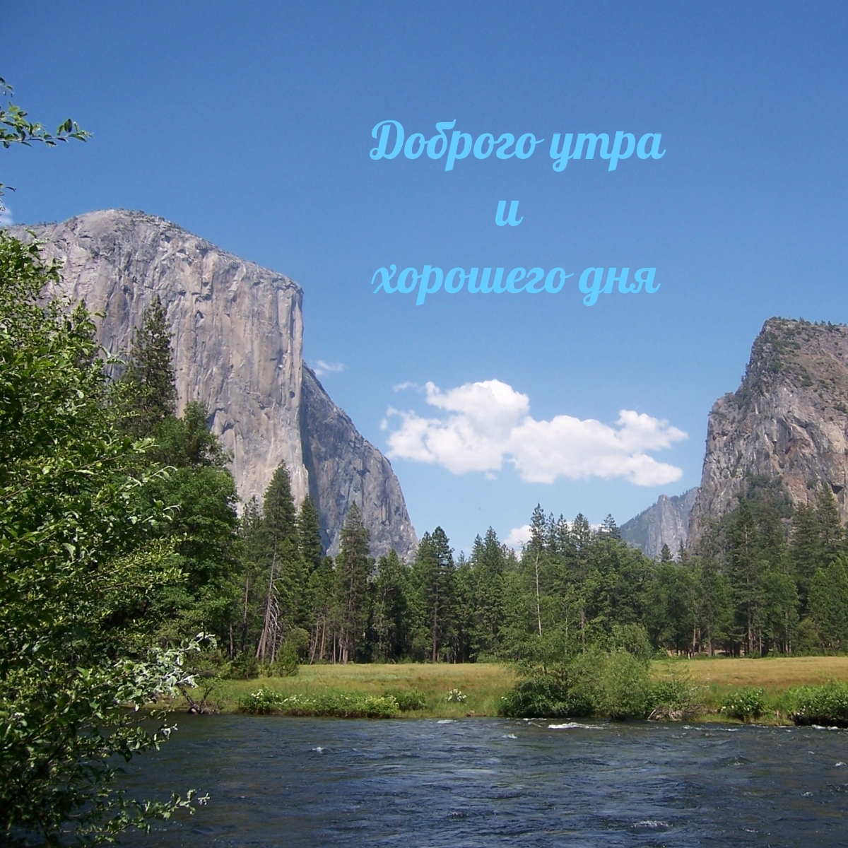 Хостинг картинок yapx.ru