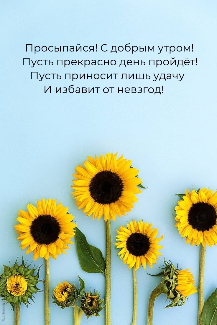 Хостинг картинок yapx.ru