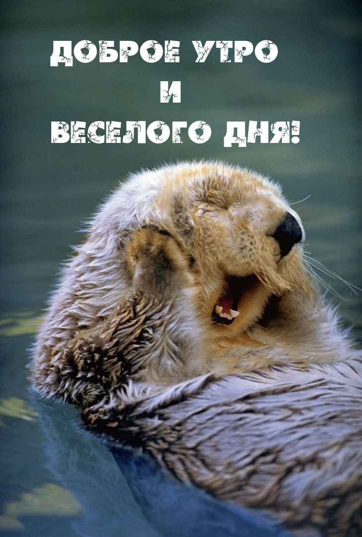 Хостинг картинок yapx.ru