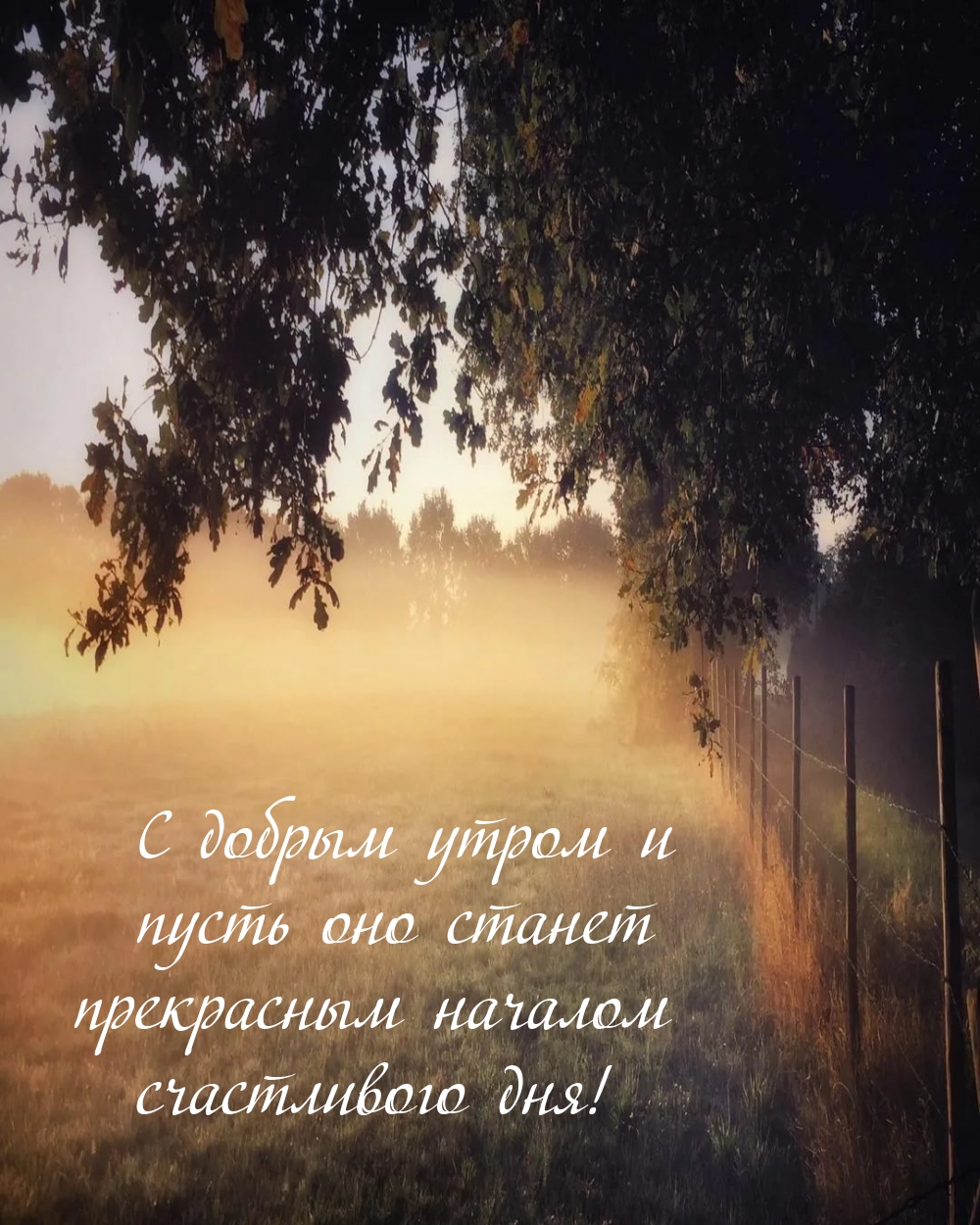 Хостинг картинок yapx.ru