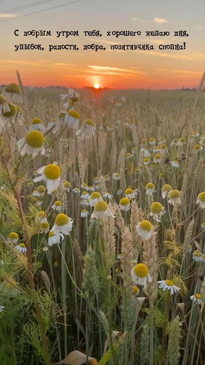 Хостинг картинок yapx.ru