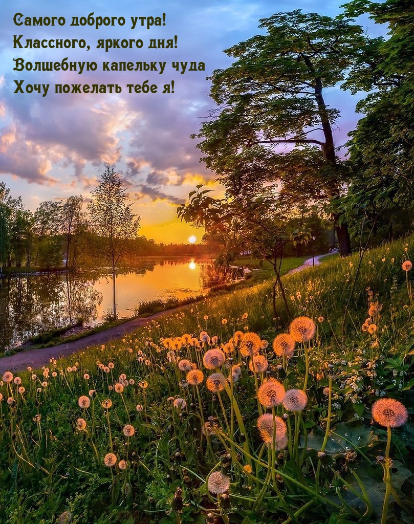 Хостинг картинок yapx.ru