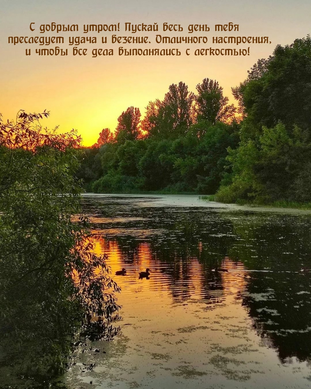 Хостинг картинок yapx.ru