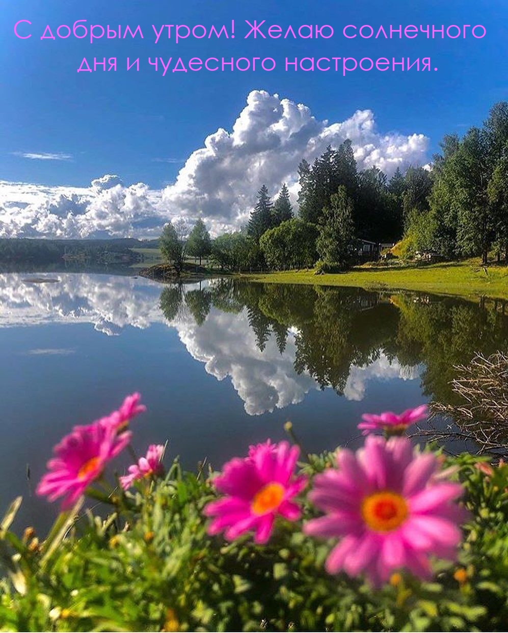 Хостинг картинок yapx.ru