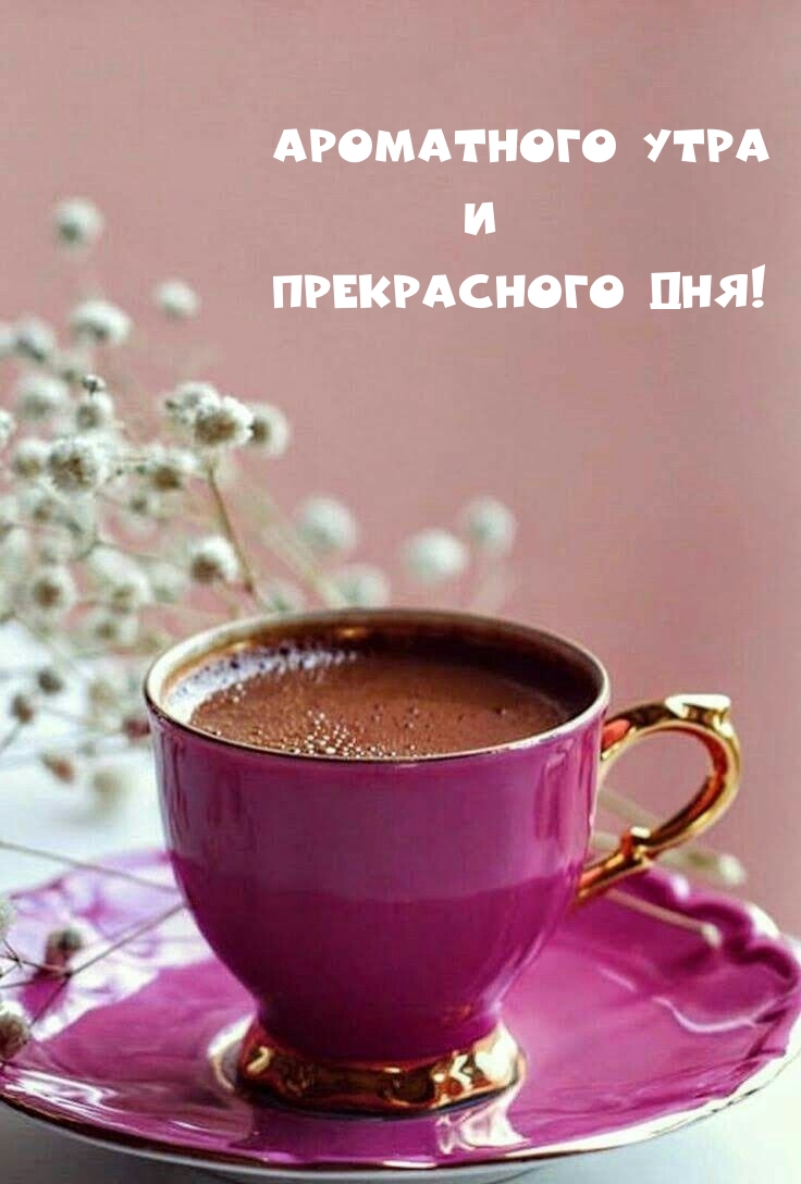 Хостинг картинок yapx.ru