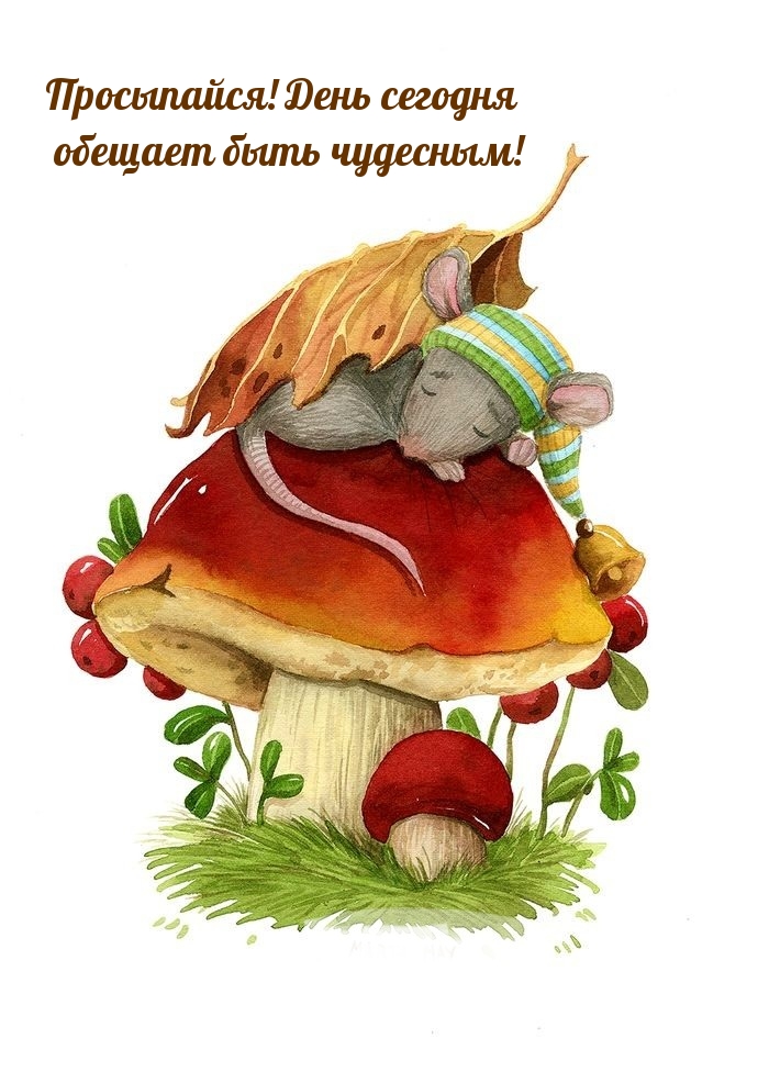 Хостинг картинок yapx.ru