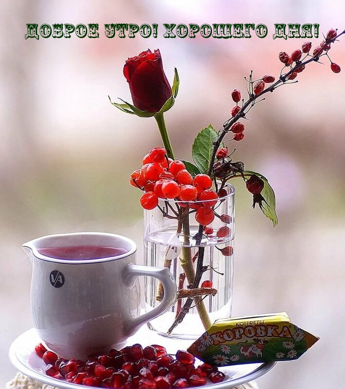 Хостинг картинок yapx.ru