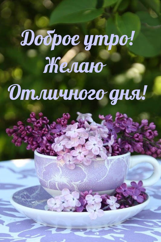 Хостинг картинок yapx.ru