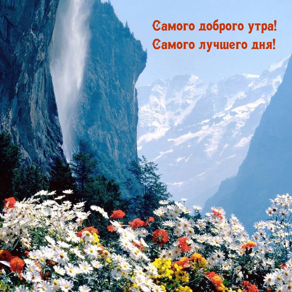 Хостинг картинок yapx.ru