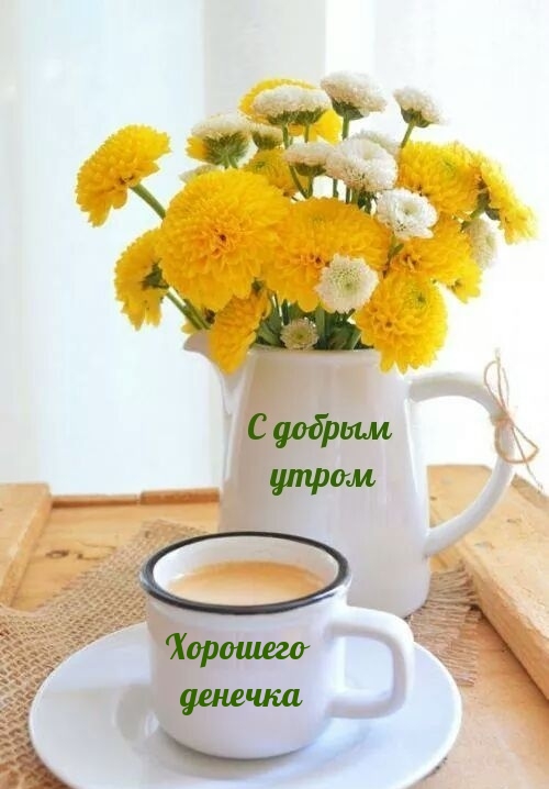 Хостинг картинок yapx.ru