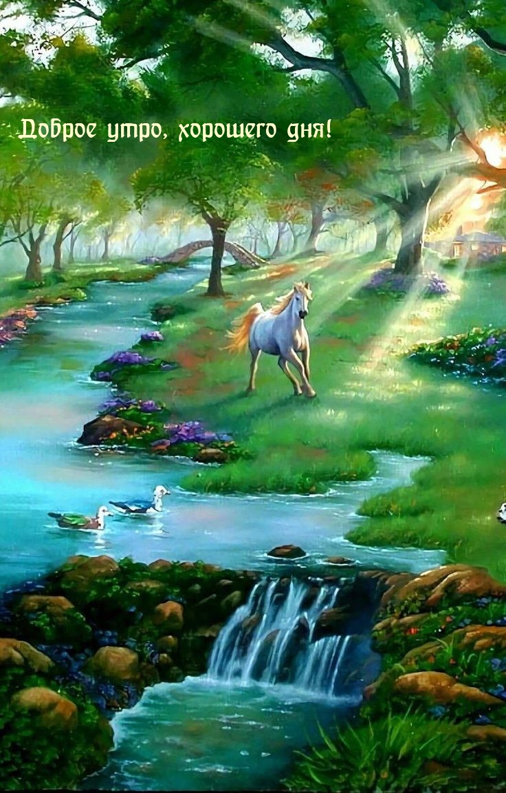 Хостинг картинок yapx.ru